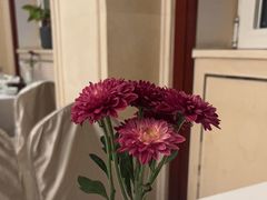 -云腾食府·云南菜