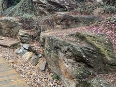 -大伊山景区
