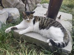 -锦溪古镇