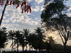 -深圳湾公园(南山区)