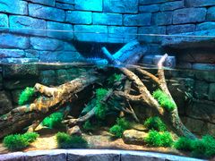 -沈阳海洋探索中心