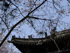 -碑林公园