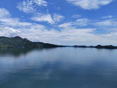 -浔味·山屿湖·正宗淳牌全鱼宴老字号