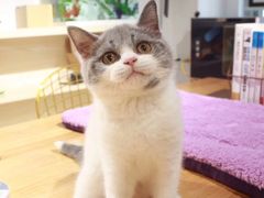 -品凯口腔(丰潭门诊)