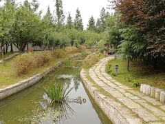 -观唐（国际）度假村温泉