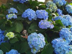 -湖畔居茶楼(湖滨店)