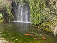 -千岛湖东南湖区