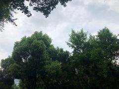 -常州古运河南大街文化旅游区-人民公园