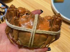 -贵木日本料理·铁板烧(新地假日广场店)