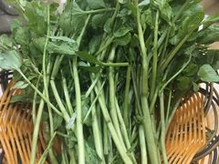 西洋菜-潮汕良记牛肉火锅(洪武路店)