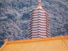-深圳仙湖植物园