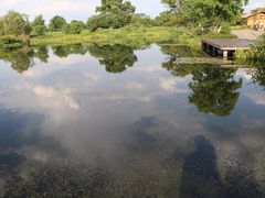 -良渚古城遗址公园