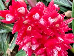 -白云山风景名胜区