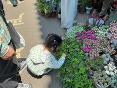 -苏州市皮市街花鸟工艺品市场