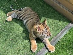 -哈尔滨北方森林动物园