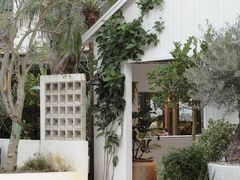-自由生长植物工作室(深港花卉中心店)