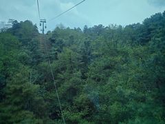 -苍山感通索道