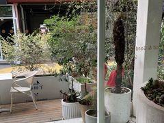 -春树下·树屋花房西餐厅(罍街AS1980店)