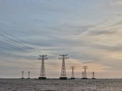 -宝安西湾红树林湿地公园