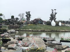 -荷兰花海