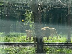 -秦皇岛野生动物园