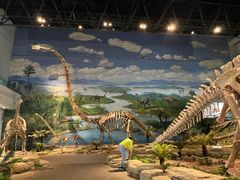 -自贡恐龙博物馆