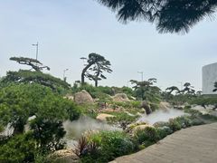 -罗红摄影艺术馆