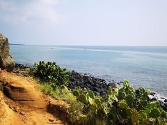 -硇洲岛旅游区
