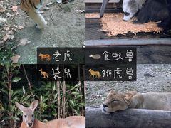 -上海野生动物园