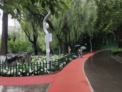 -西安市长乐公园