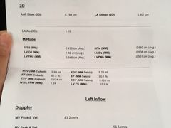 -美联众合动物医院·24h转诊中心