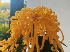 -杭州植物园
