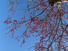 -北京友谊宾馆·聚祥园