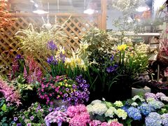 -双季花艺园艺市场(浦东店)