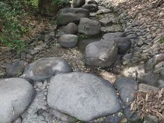 -新虹桥中心花园