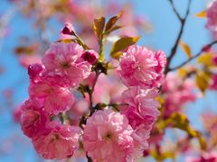 -长白岛森林公园