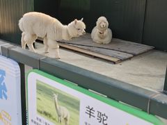 -青岛鑫江温德姆酒店