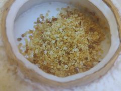 -探窝·竹笙椰子鸡(杨箕店)