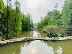 -云溪植物园