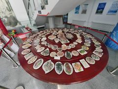 -中国第四纪冰川遗迹陈列馆