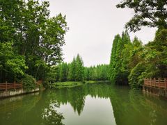 -桤木河湿地公园