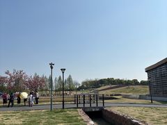 -滆湖低碳生态公园