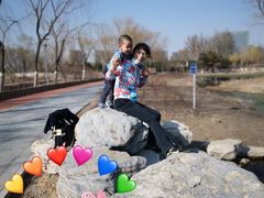 -大兴滨河森林公园