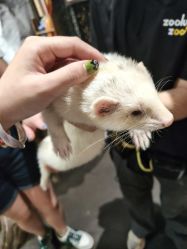 -Zoolung Zoolung动物主题公园(海信广场店)