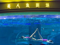 -西双版纳原始森林公园