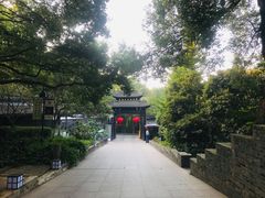 -小湾茶楼