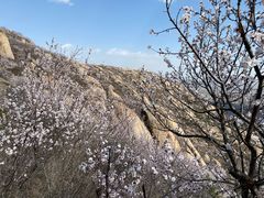 -北京凤凰岭