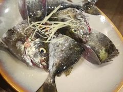 -台山侨雅海鲜粥底火锅(台山侨雅花苑店)