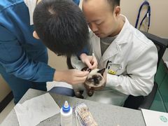-安安宠医·臻爱宠物医院·宠保定点(营门口路分院)