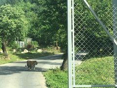 -西安秦岭野生动物园